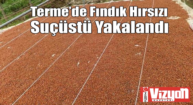 Terme’de Fındık Hırsızı Suçüstü Yakalandı