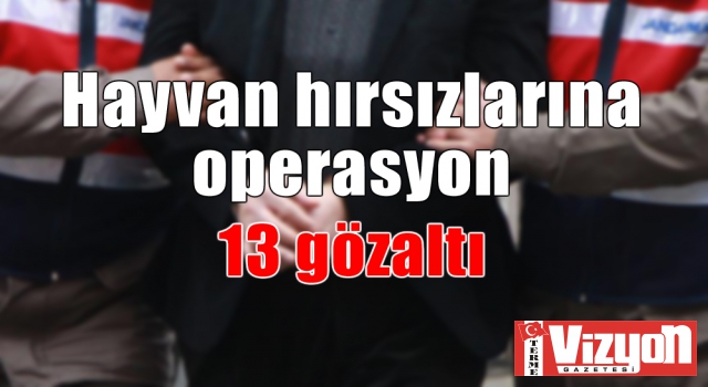 Hayvan hırsızlarına operasyon: 13 gözaltı