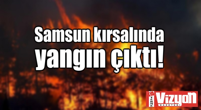 Samsun kırsalında yangın çıktı!