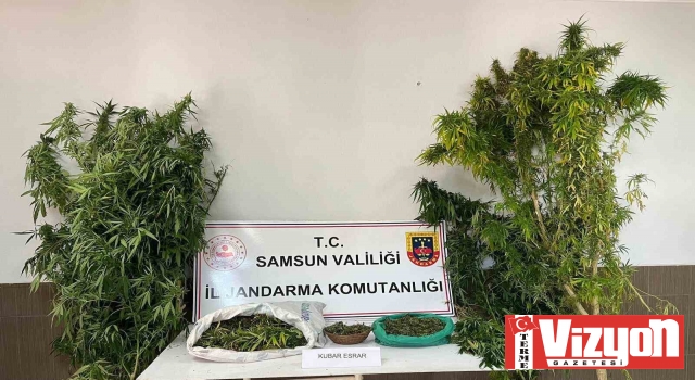 Jandarmadan uyuşturucu operasyonu