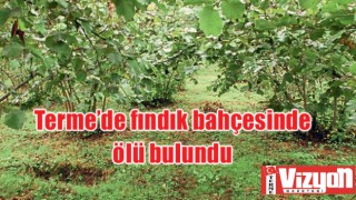 Terme’de fındık bahçesinde ölü bulundu