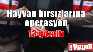 Hayvan hırsızlarına operasyon: 13 gözaltı