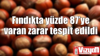 Fındıkta yüzde 87’ye varan zarar tespit edildi