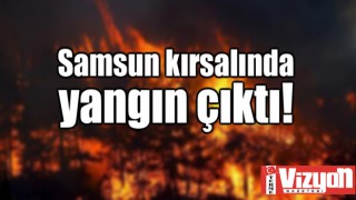 Samsun kırsalında yangın çıktı!