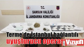 Terme’de İstanbul bağlantılı uyuşturucu operasyonu