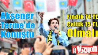 Meral Akşener’den Terme’de fındık ve çeltik vurgusu