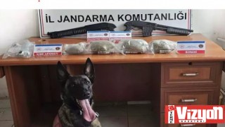 Terme’de 3 kilo bonzaiyle yakalandılar!