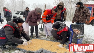 Terme’de yaban hayatı koruma sahasında hayvanlar yemlendi