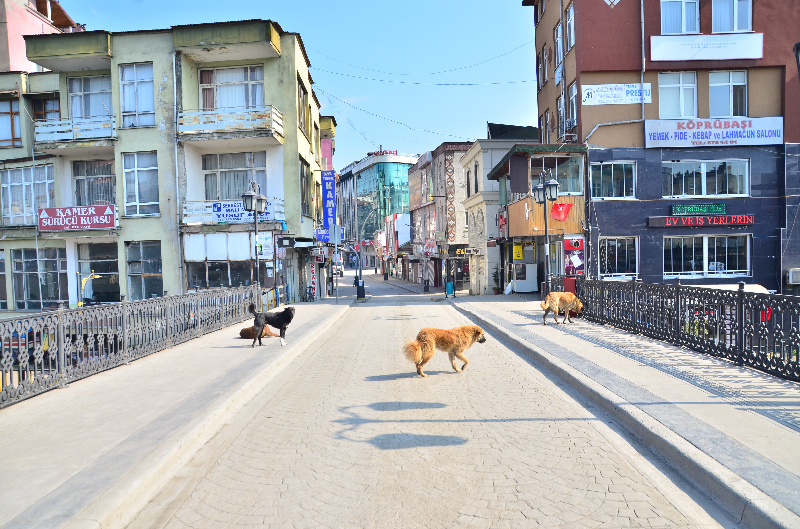 Sessiz Terme’nin Sokakları Görüntülendi