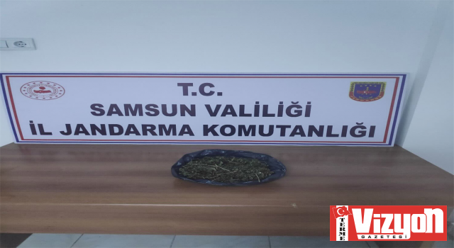 Samsun’da uyuşturucu operasyonu: 2 şahıs gözaltında