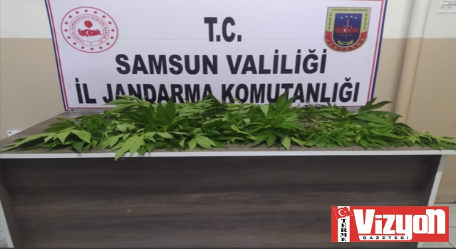 Terme ve Çarşamba'daki Uyuşturucu Operasyonunda 2 Kişi Tutuklandı