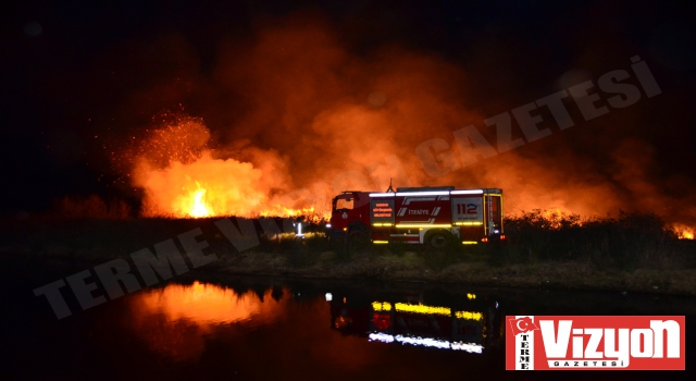 Terme’de korkutan sazlık yangını