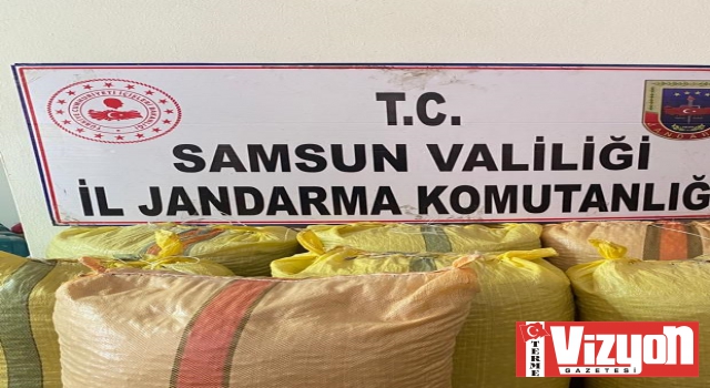 Terme’de çalınan 700 kilogram fındık ele geçirildi