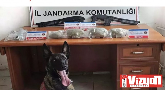 Terme’de 3 kilo bonzaiyle yakalandılar!