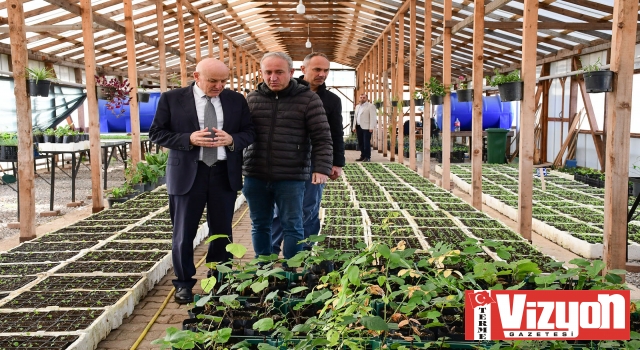 Terme’de mevsimlik çiçekler toprakla buluşmaya hazırlanıyor