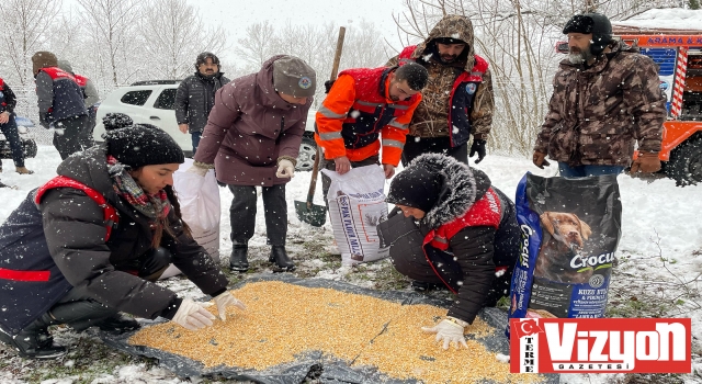 Terme’de yaban hayatı koruma sahasında hayvanlar yemlendi