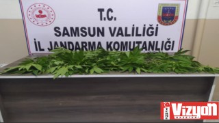 Terme ve Çarşamba'daki Uyuşturucu Operasyonunda 2 Kişi Tutuklandı