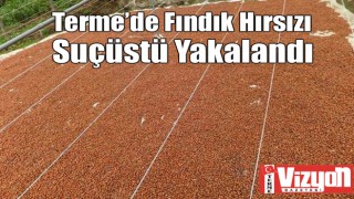 Terme’de Fındık Hırsızı Suçüstü Yakalandı