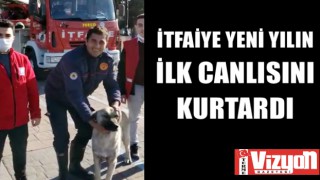 İtfaiye yeni yılın ilk canlısını kurtardı