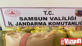 Terme’de çalınan 700 kilogram fındık ele geçirildi