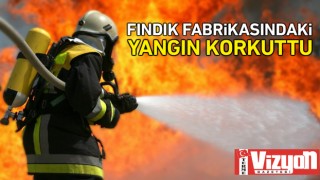 Fındık fabrikasındaki yangın korkuttu