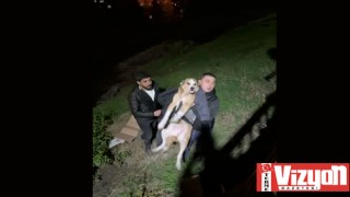 İftara giderken sokak köpeğinin hayatını kurtardı