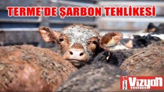 Terme’de şarbon tehlikesi