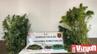 Jandarmadan uyuşturucu operasyonu